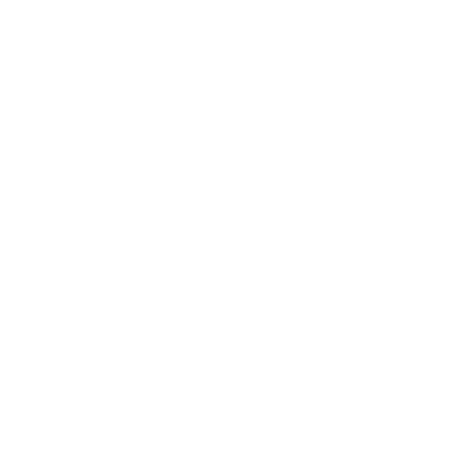 Computer Icon